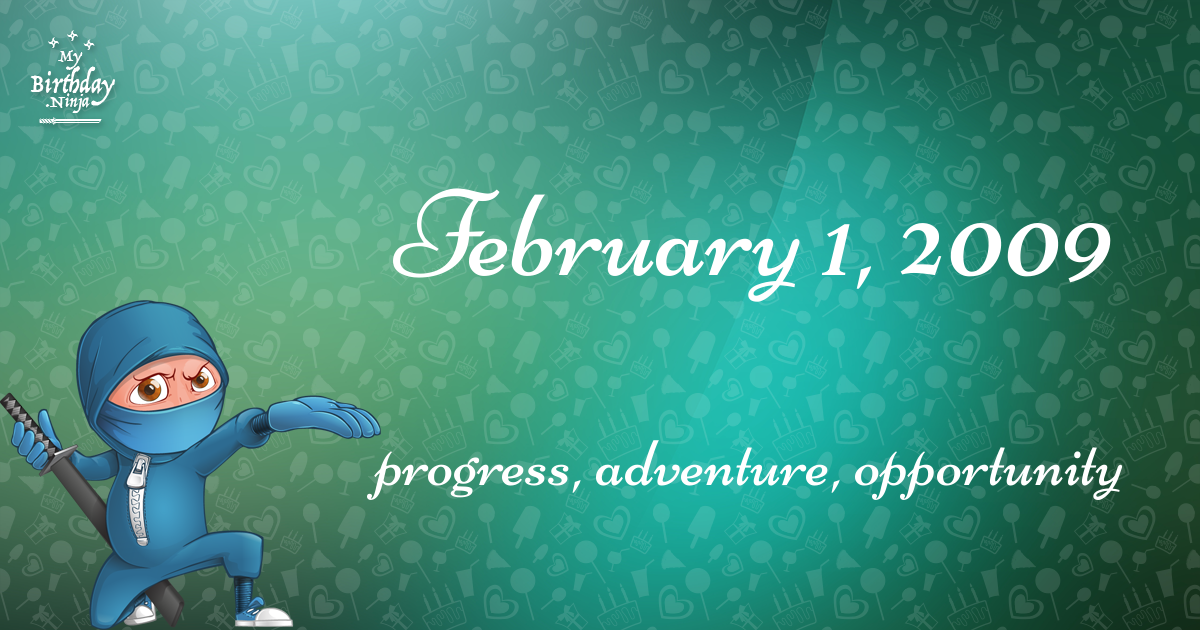 February 1, 2009 Birthday Ninja Poster