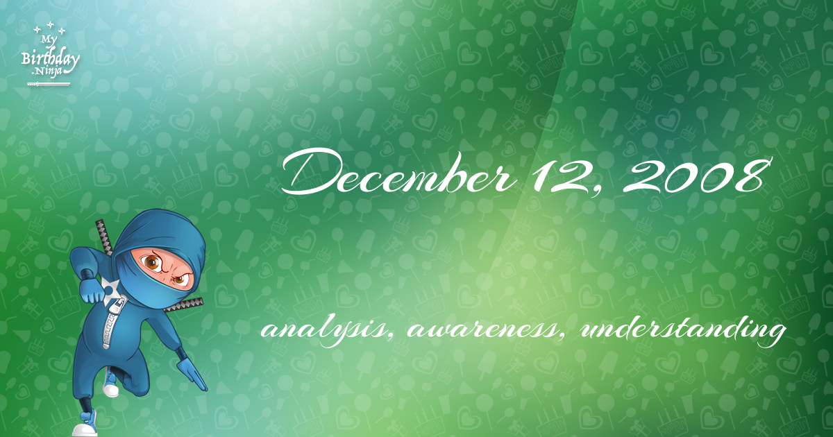 December 12, 2008 Birthday Ninja Poster
