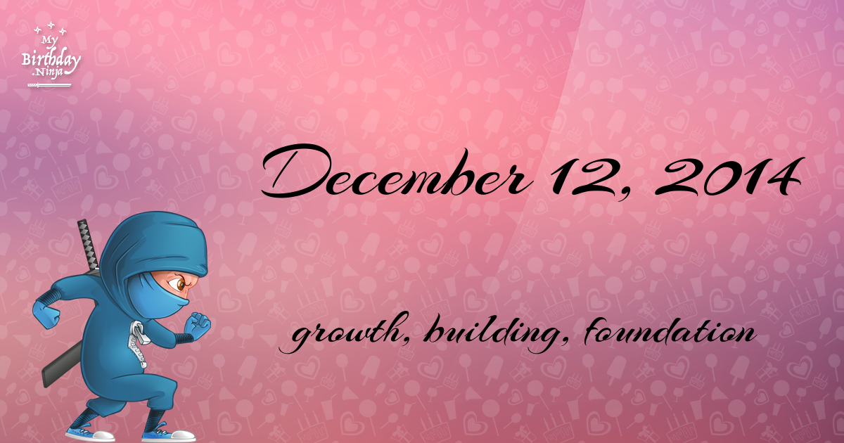 December 12, 2014 Birthday Ninja Poster