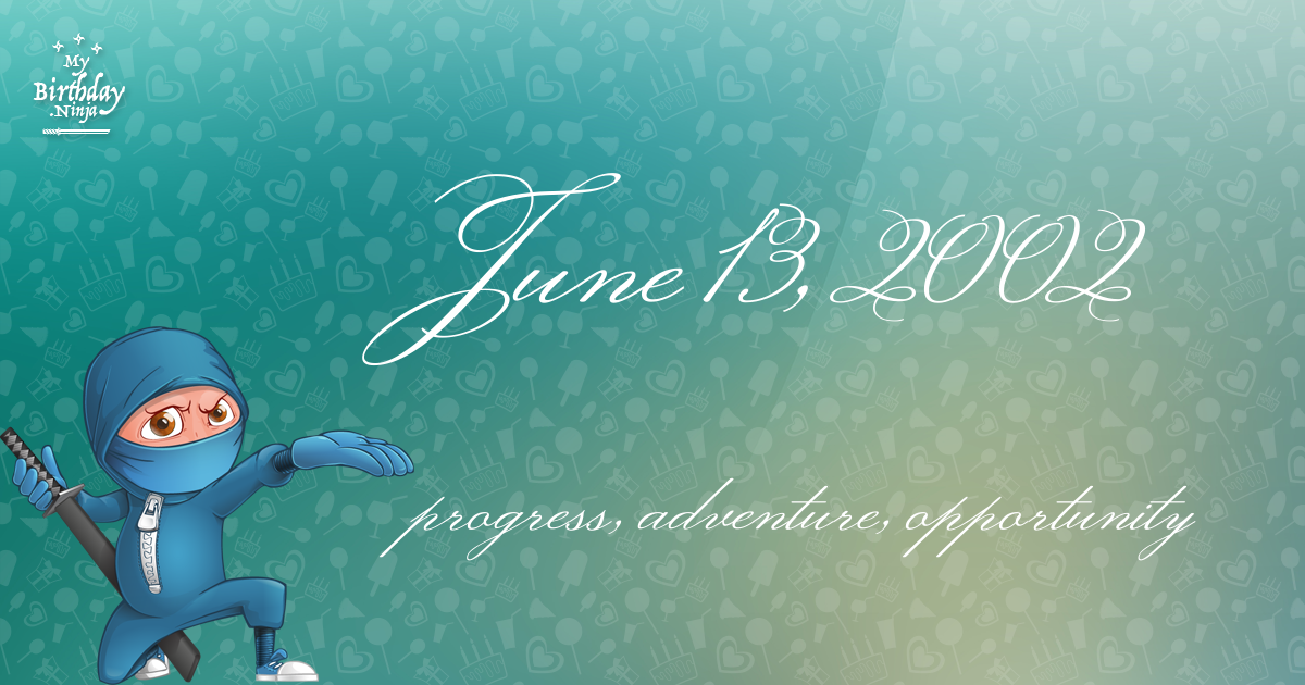 June 13, 2002 Birthday Ninja Poster