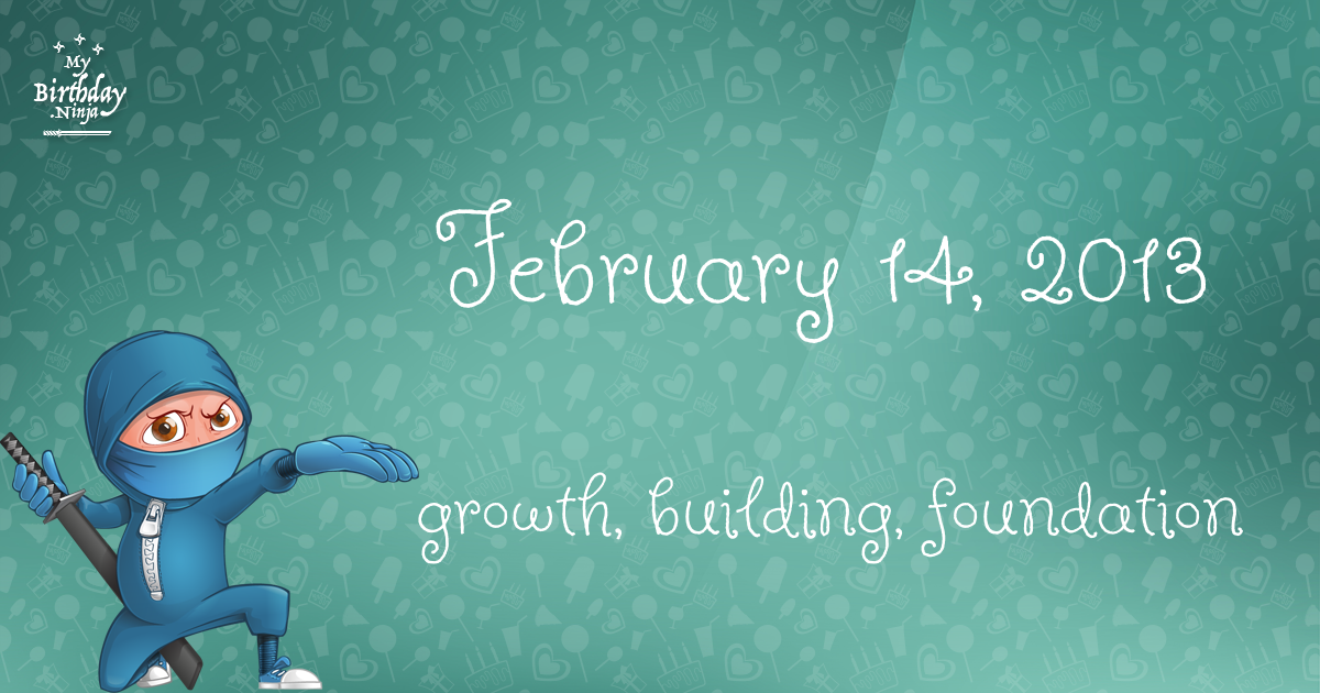 February 14, 2013 Birthday Ninja Poster