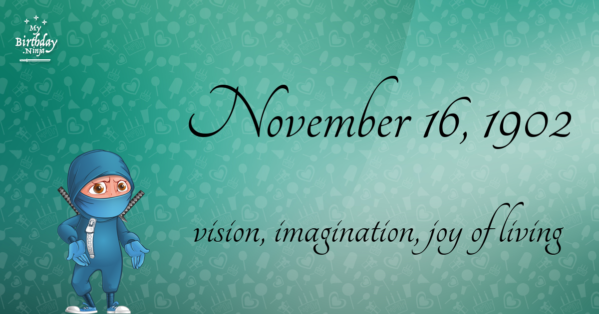November 16, 1902 Birthday Ninja Poster