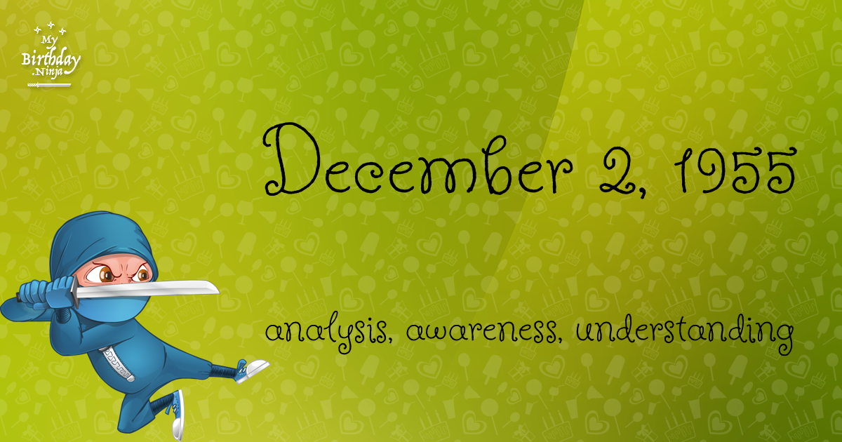 December 2, 1955 Birthday Ninja Poster