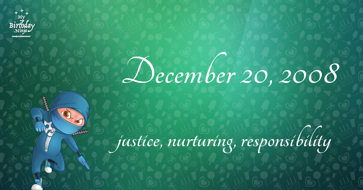 December 20, 2008 Birthday Ninja Poster