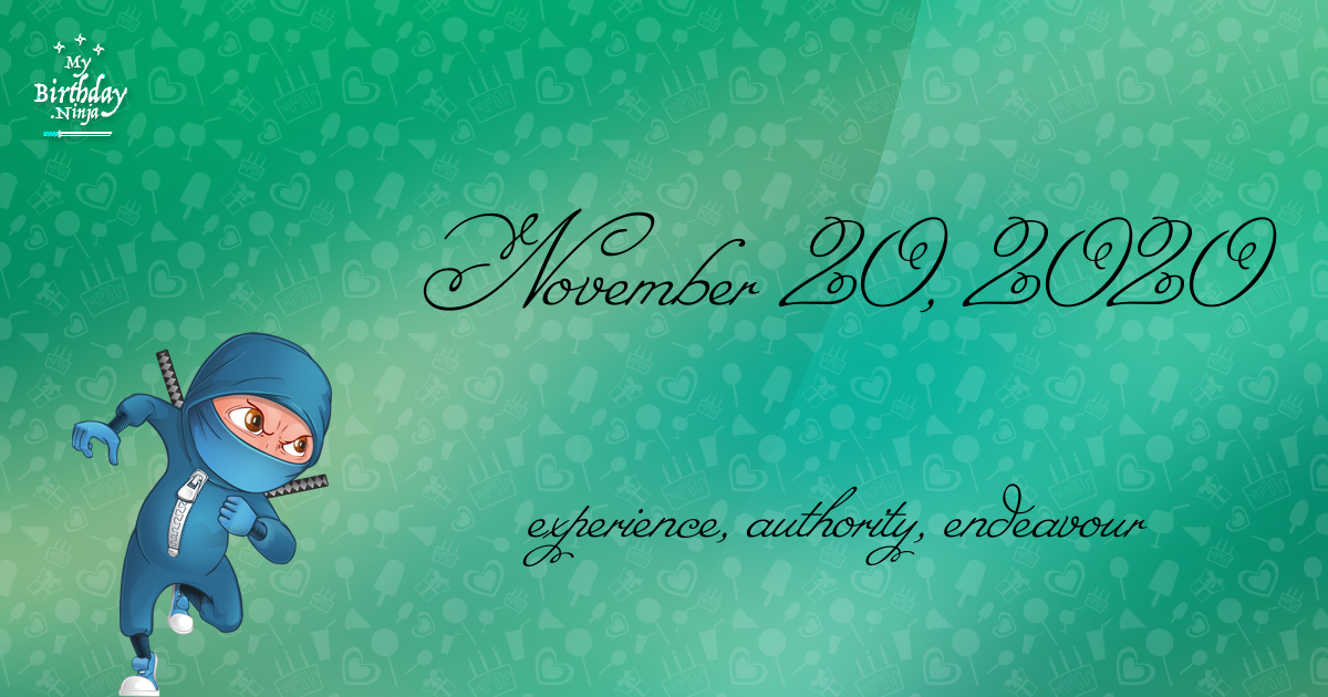 November 20, 2020 Birthday Ninja Poster