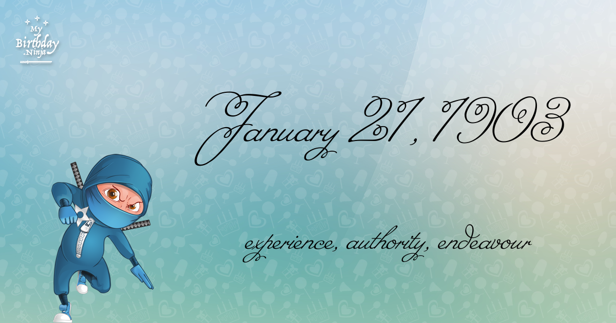 January 21, 1903 Birthday Ninja Poster
