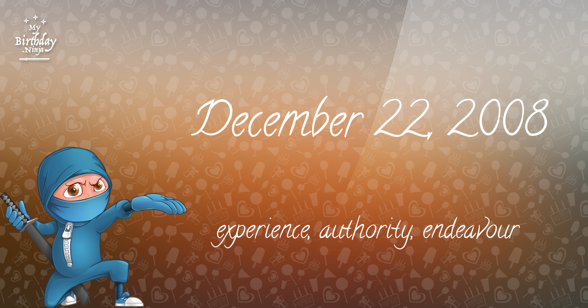 December 22, 2008 Birthday Ninja Poster