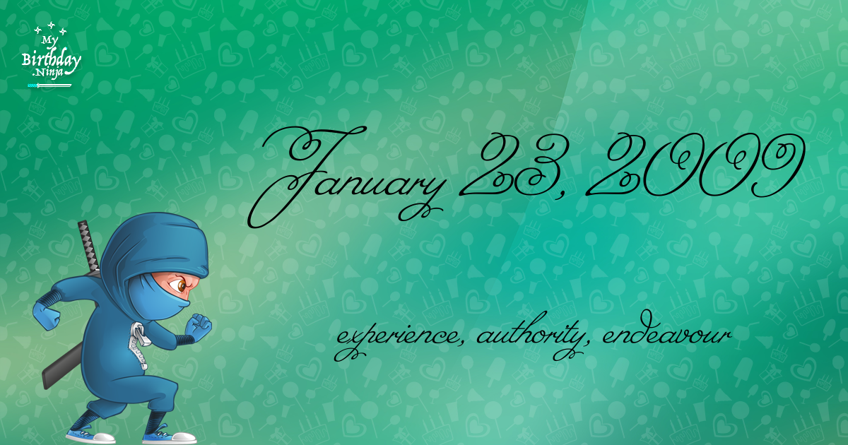 January 23, 2009 Birthday Ninja Poster