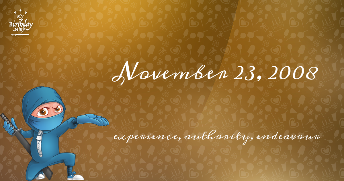 November 23, 2008 Birthday Ninja Poster