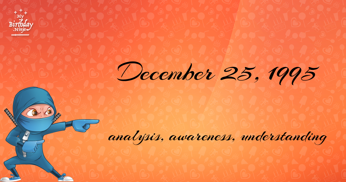 December 25, 1995 Birthday Ninja Poster