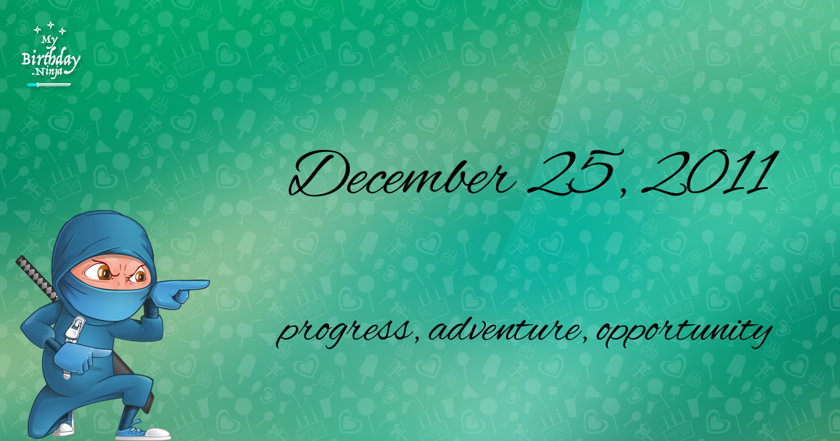 December 25, 2011 Birthday Ninja Poster