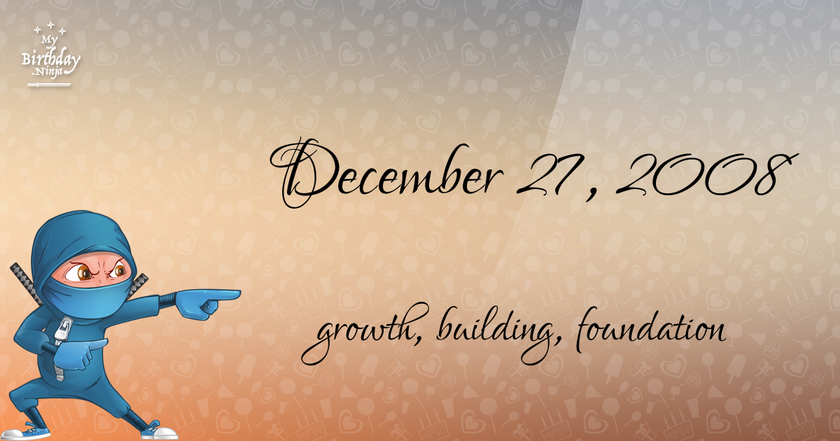December 27, 2008 Birthday Ninja Poster