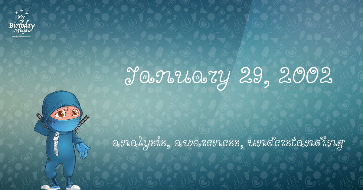 January 29, 2002 Birthday Ninja Poster