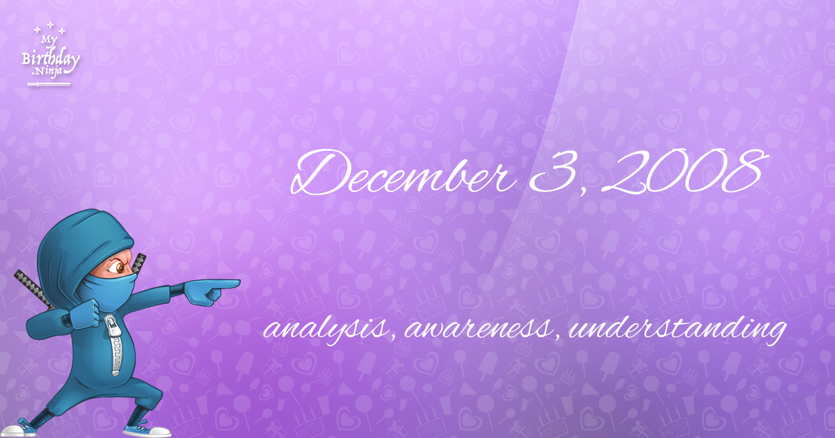 December 3, 2008 Birthday Ninja Poster