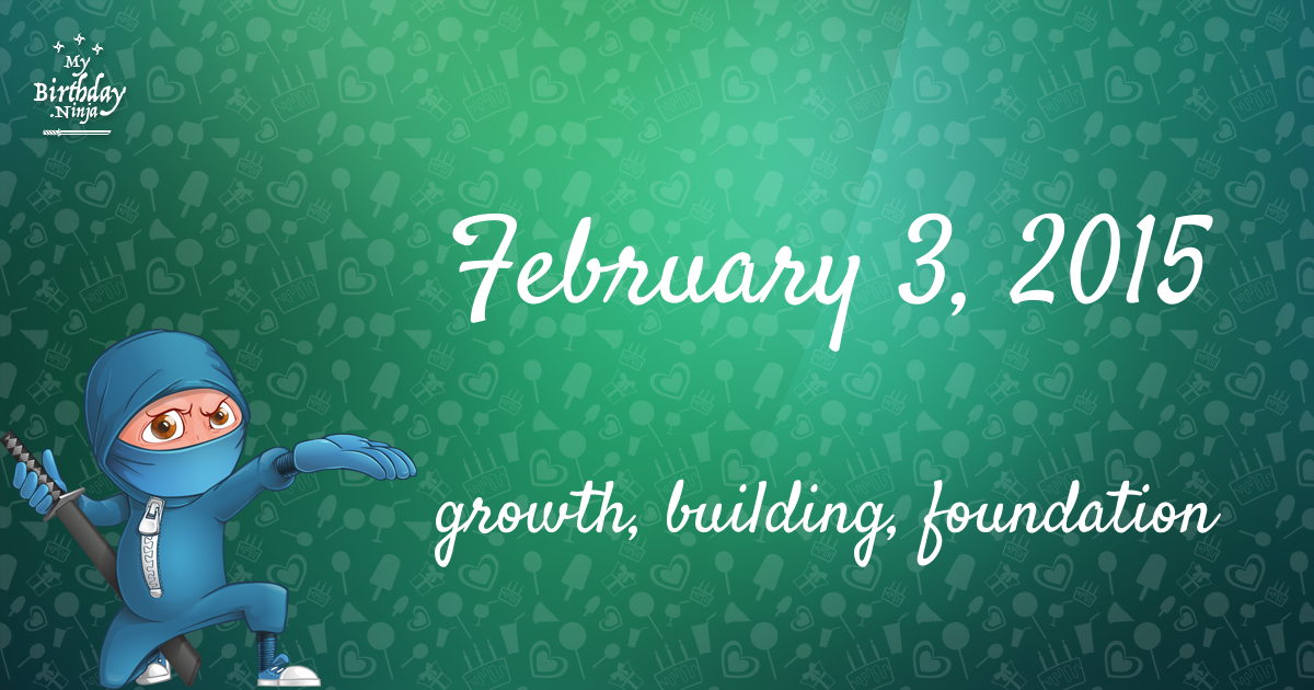 February 3, 2015 Birthday Ninja Poster