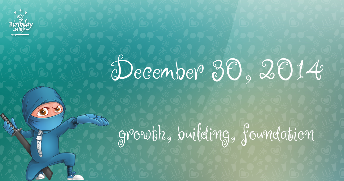 December 30, 2014 Birthday Ninja Poster