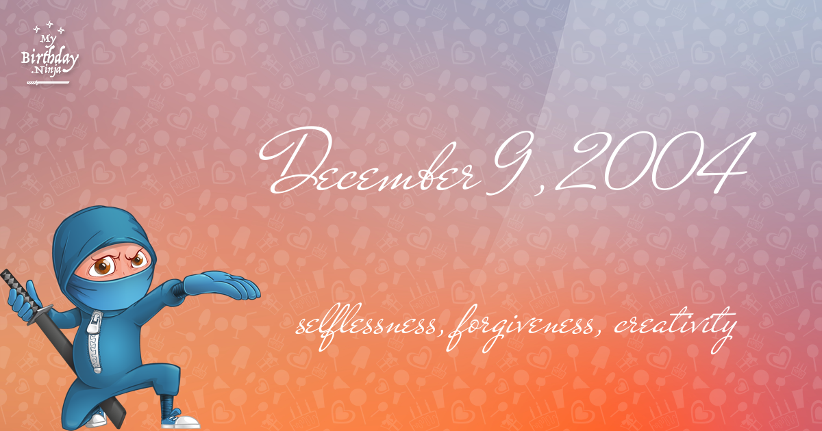 December 9, 2004 Birthday Ninja Poster