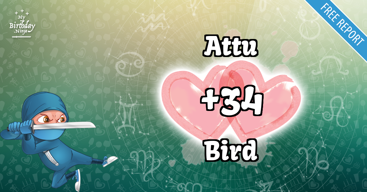 Attu and Bird Love Match Score