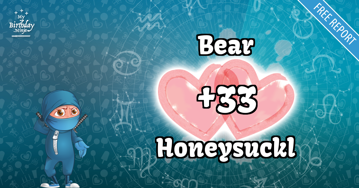 Bear and Honeysuckl Love Match Score