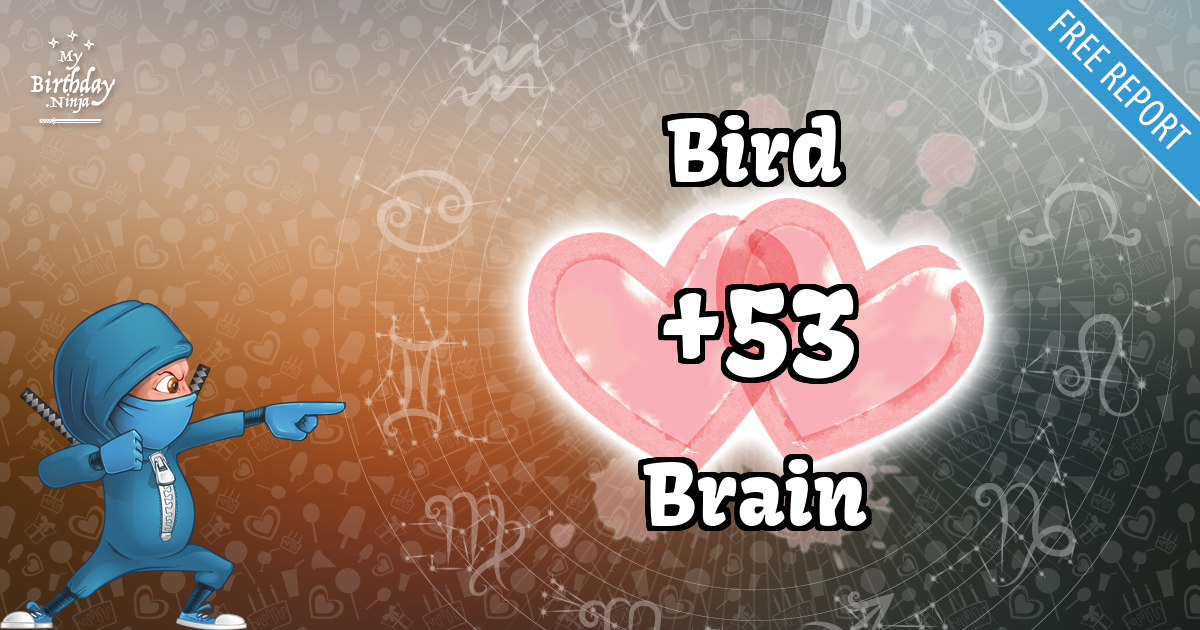 Bird and Brain Love Match Score