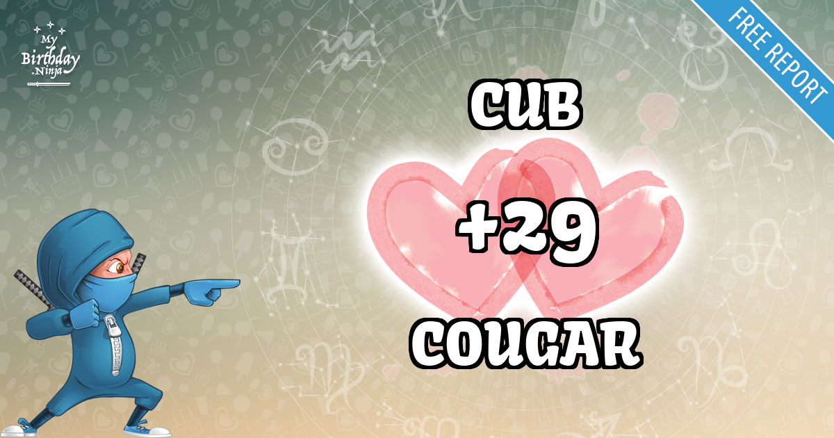 CUB and COUGAR Love Match Score