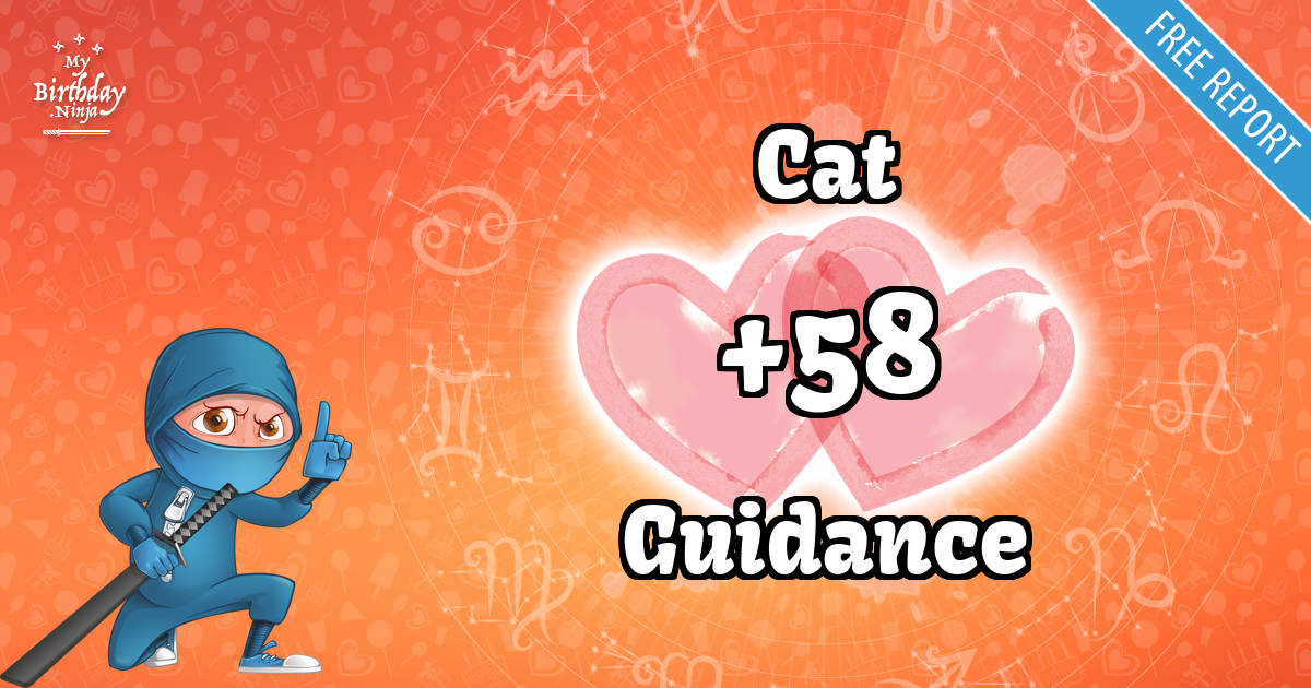 Cat and Guidance Love Match Score