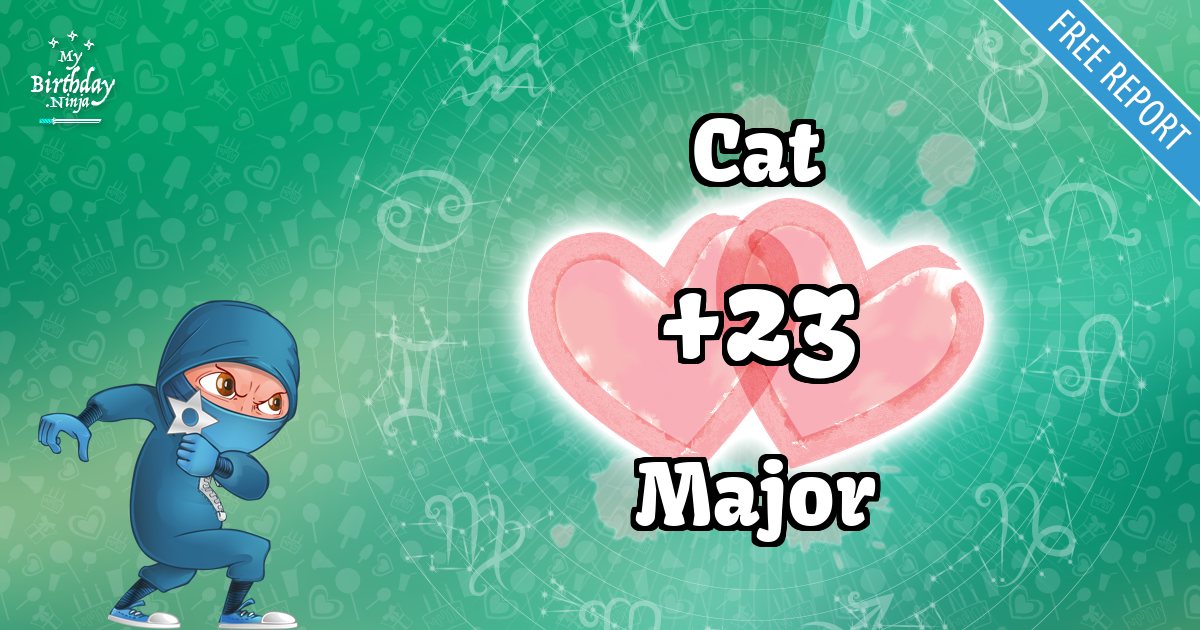 Cat and Major Love Match Score