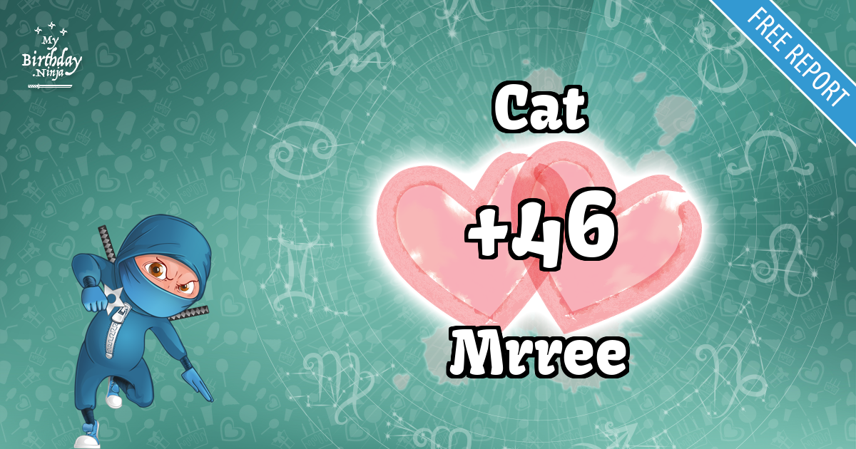 Cat and Mrree Love Match Score