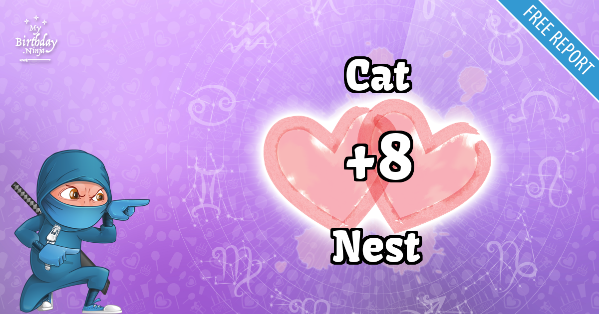 Cat and Nest Love Match Score
