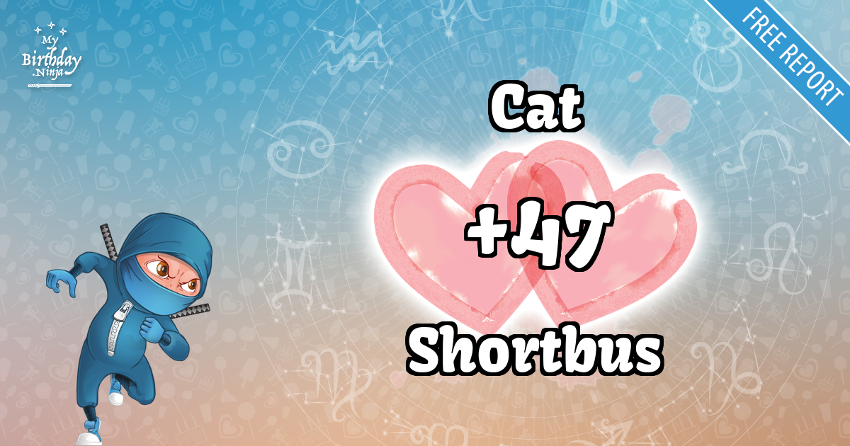 Cat and Shortbus Love Match Score