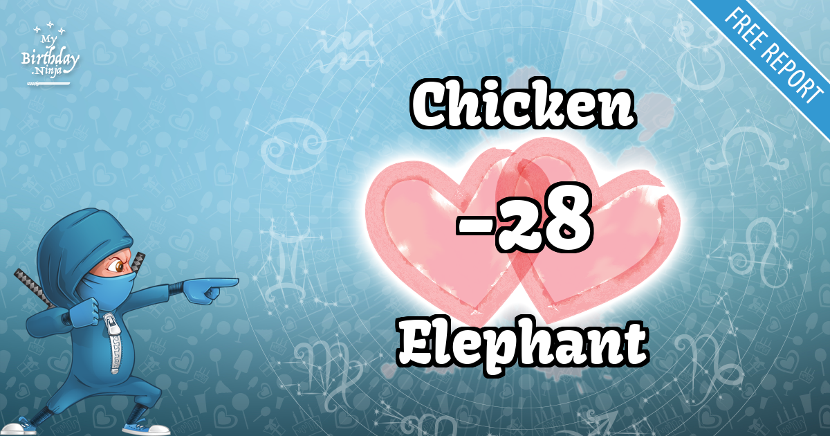 Chicken and Elephant Love Match Score