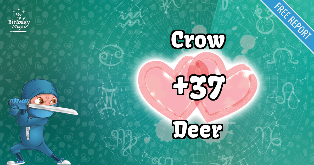 Crow and Deer Love Match Score