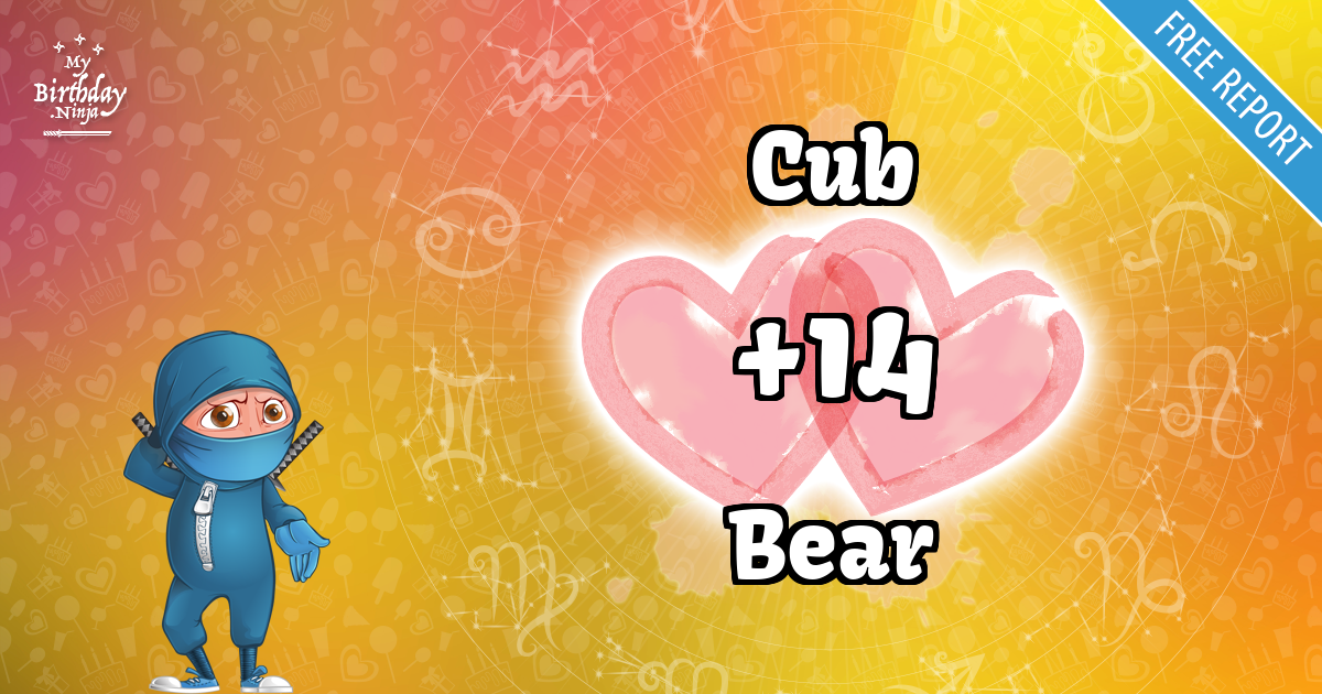Cub and Bear Love Match Score