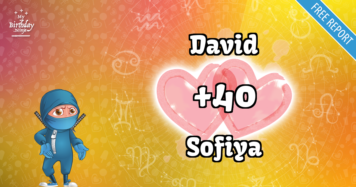 David and Sofiya Love Match Score