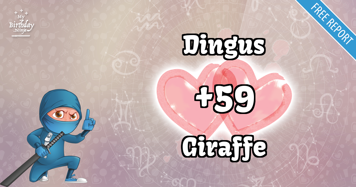 Dingus and Giraffe Love Match Score