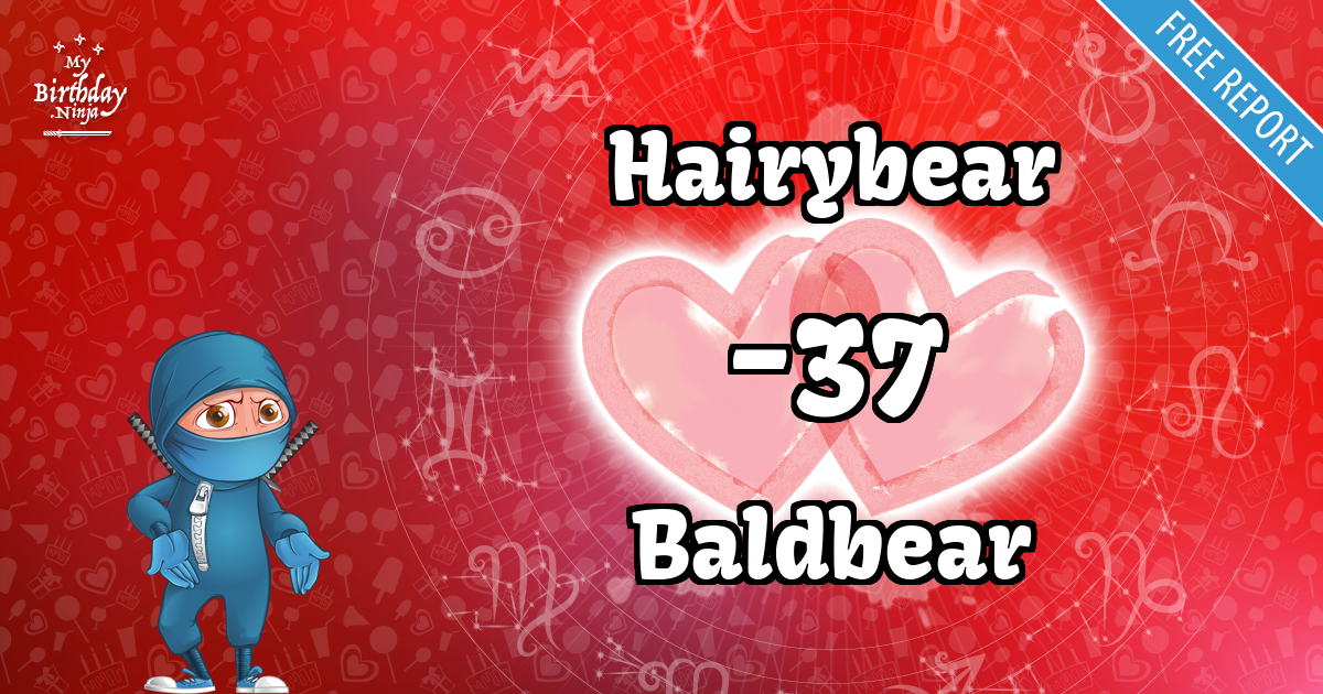 Hairybear and Baldbear Love Match Score