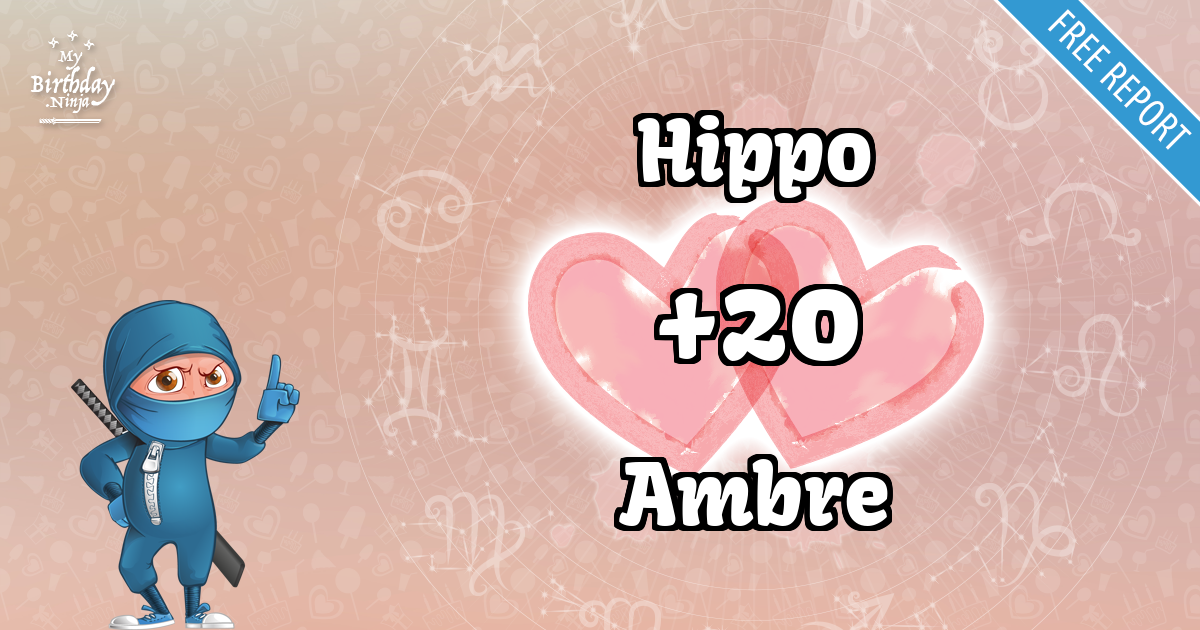 Hippo and Ambre Love Match Score