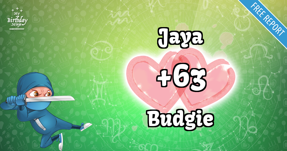 Jaya and Budgie Love Match Score