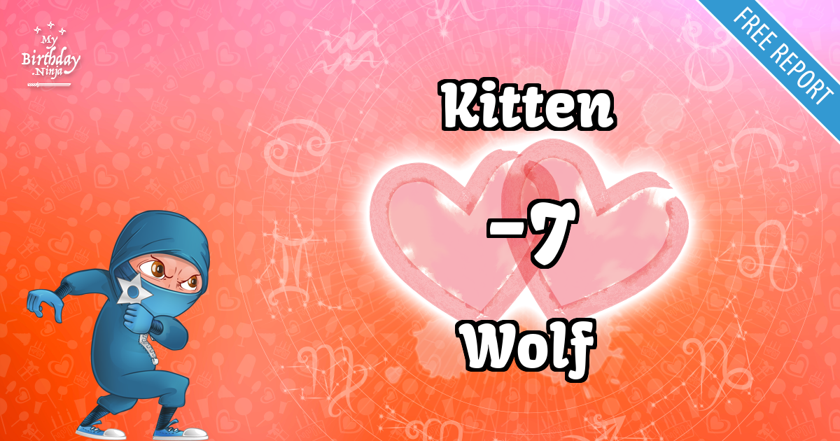 Kitten and Wolf Love Match Score
