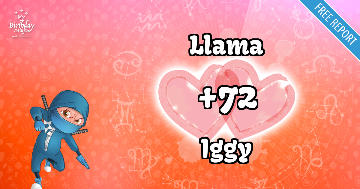 Llama and Iggy Love Match Score