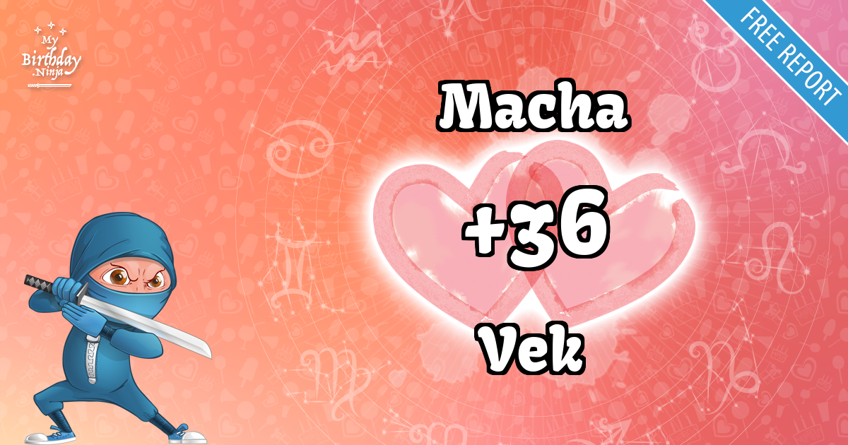 Macha and Vek Love Match Score
