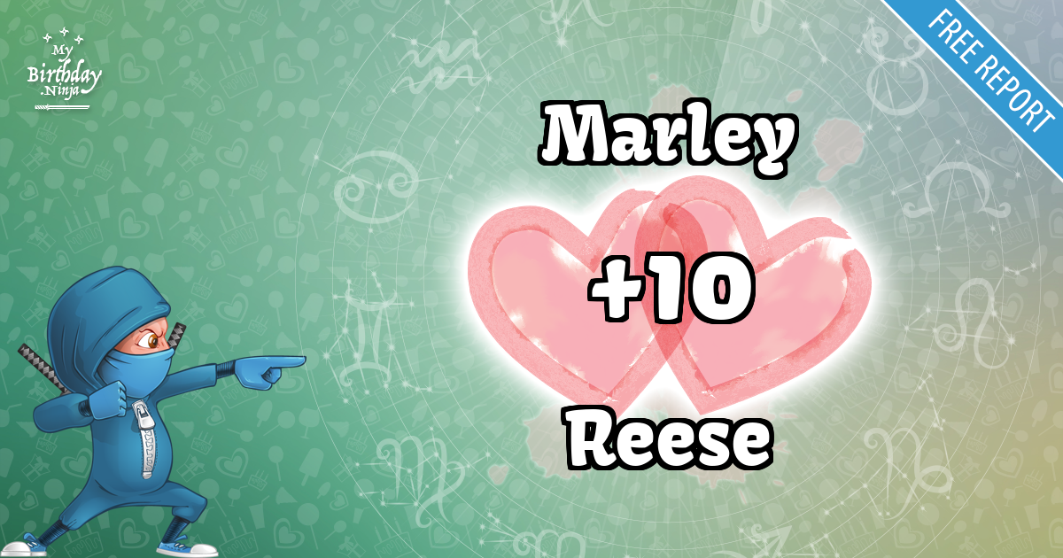 Marley and Reese Love Match Score