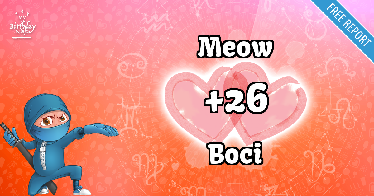 Meow and Boci Love Match Score