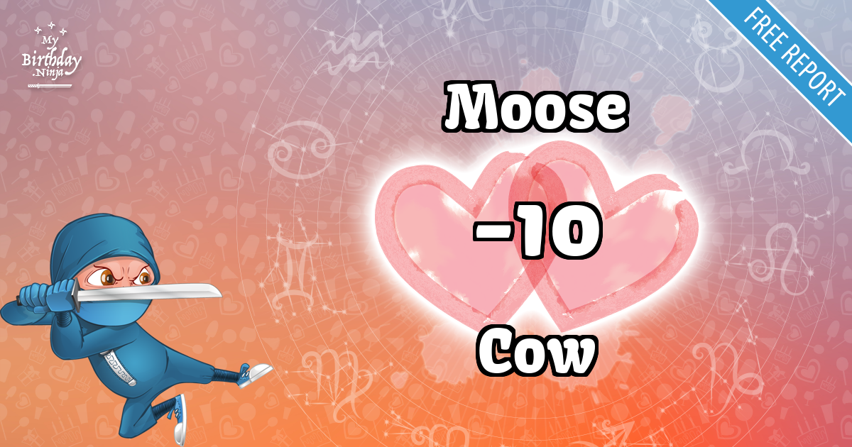 Moose and Cow Love Match Score