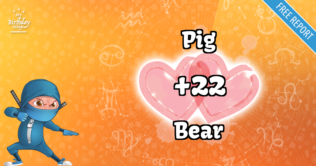 Pig and Bear Love Match Score