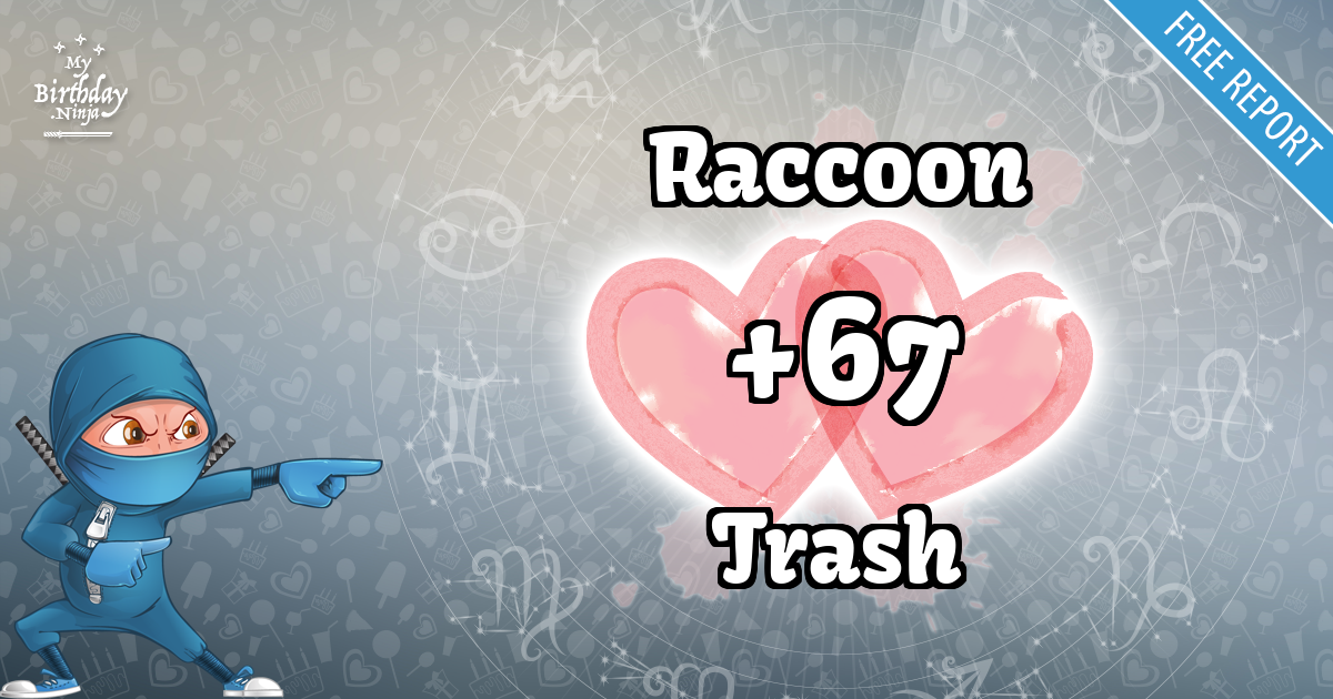 Raccoon and Trash Love Match Score