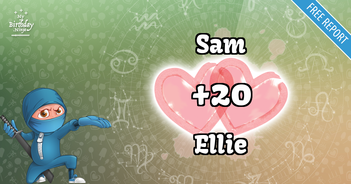 Sam and Ellie Love Match Score