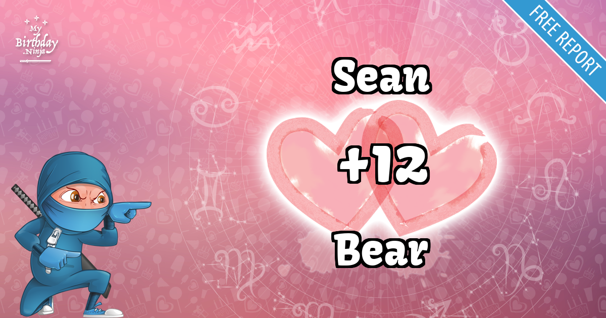 Sean and Bear Love Match Score