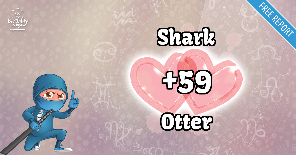 Shark and Otter Love Match Score