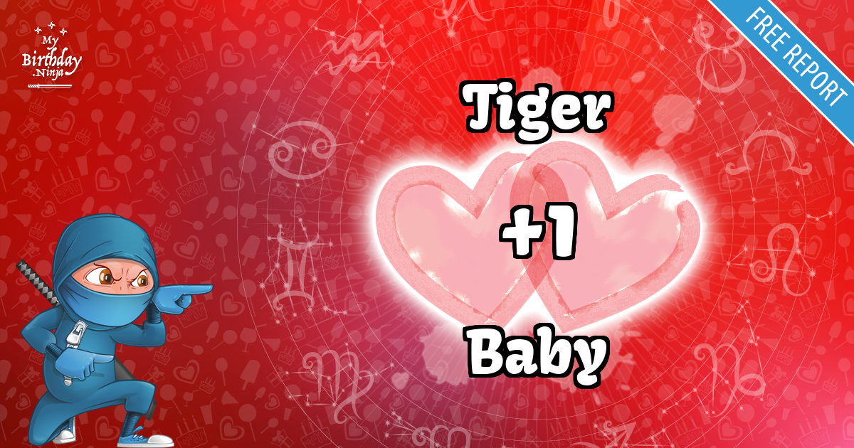 Tiger and Baby Love Match Score